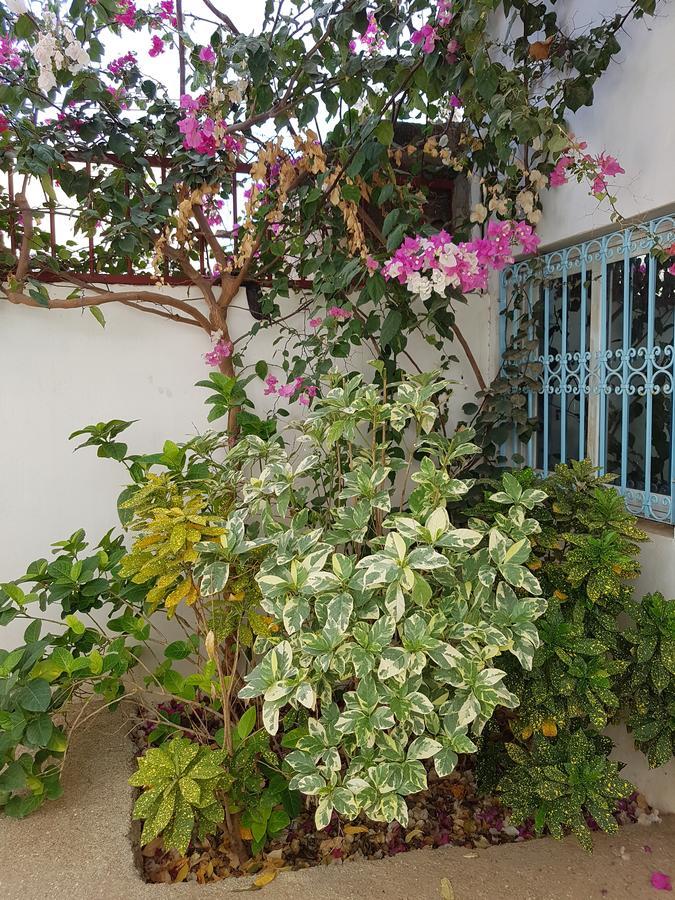 Le Dolmen De Mbour Apartment M'Bour Exterior photo